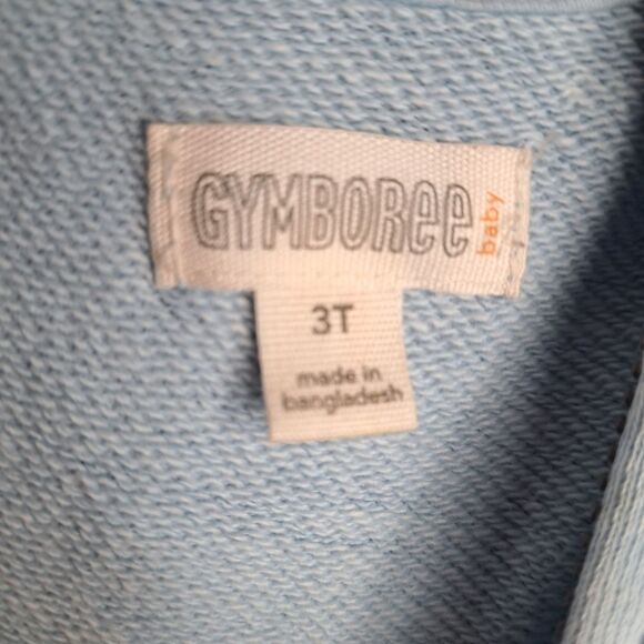 Pale Blue Ruffle Sleeve Hoodie by Gymboree - Picture 2 of 5